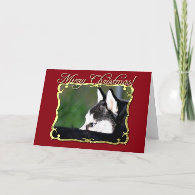 Cartes Pour Fêtes Annuelles Chien de traîneau sibérien de Joyeux Noël (Devant)