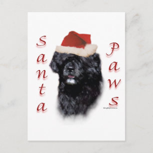 Cartes Pour Fêtes Annuelles Chien d'eau portugais Père Noël Paws