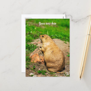 Cartes Pour Fêtes Annuelles Chien des Prairies à queue noire