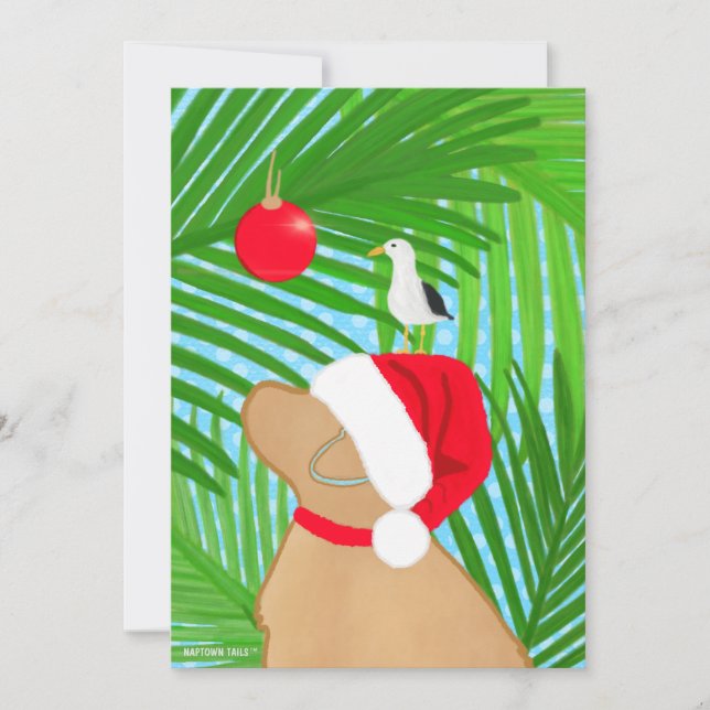 Cartes Pour Fêtes Annuelles Chien Doré Tropical Père Noël Mouette Noël Plat (Devant)