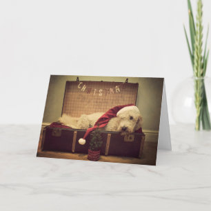 Cartes Pour Fêtes Annuelles Chien dormant dans la valise