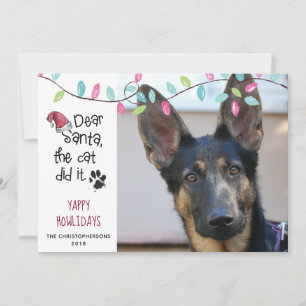 Cartes Pour Fêtes Annuelles Chien drôle disant Lumières pastel Photo