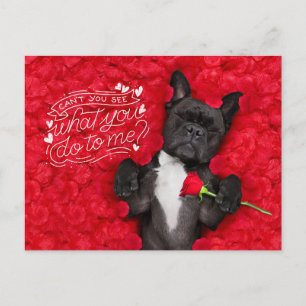 Cartes Pour Fêtes Annuelles Chien drôle et roses rouges Joyeuse Saint-Valentin