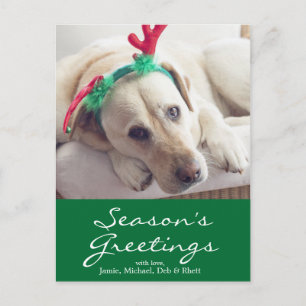 Cartes Pour Fêtes Annuelles Chien du Labrador avec oreilles de Noël