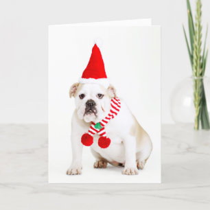 Cartes Pour Fêtes Annuelles Chien Elf de Taureau