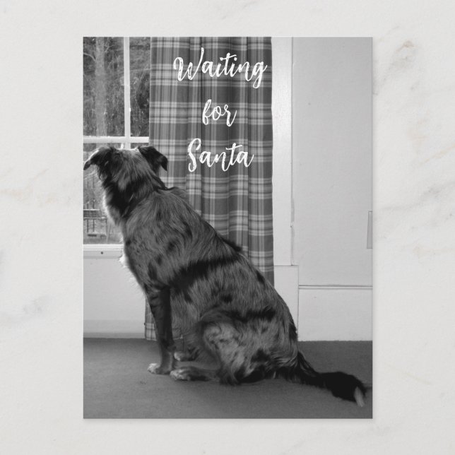 Cartes Pour Fêtes Annuelles Chien en attendant Père Noël Noël (Devant)
