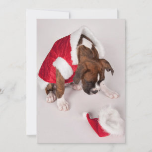 Cartes Pour Fêtes Annuelles Chien en costume Père Noël