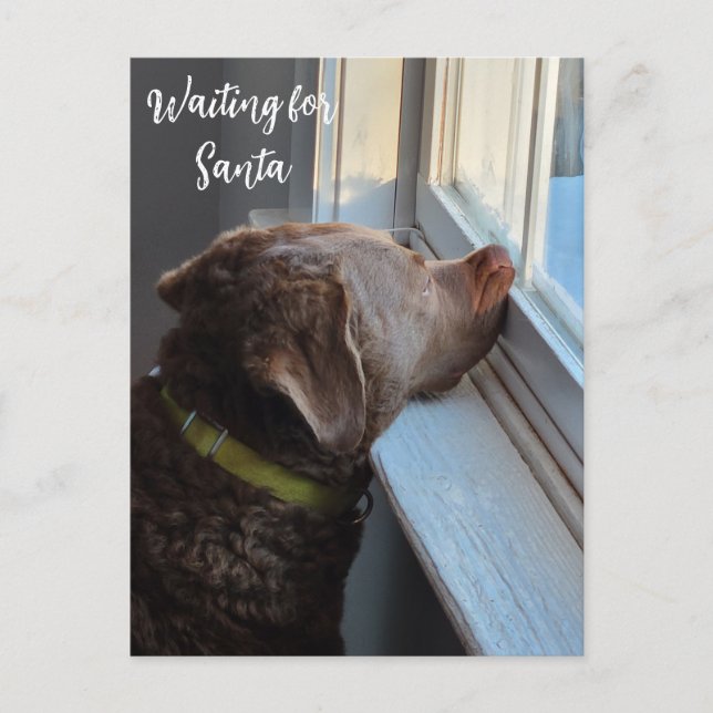 Cartes Pour Fêtes Annuelles Chien en en attente de Père Noël (Devant)