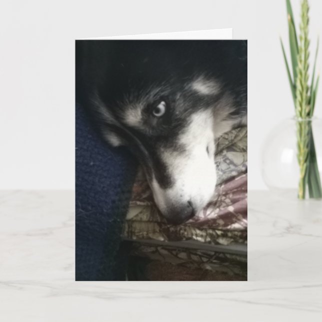 Cartes Pour Fêtes Annuelles Chien endormi (Devant)