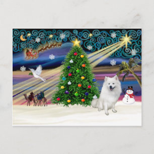Cartes Pour Fêtes Annuelles Chien Esquimau Magique Américain de Noël