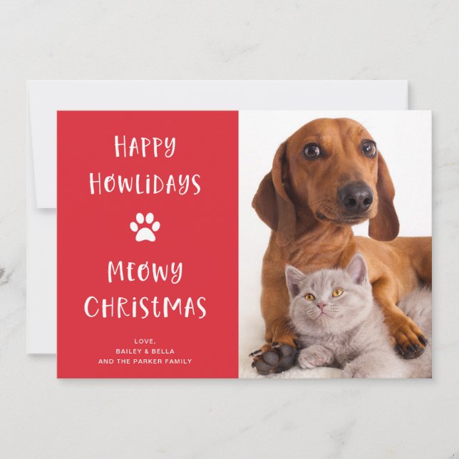 Cartes Pour Fêtes Annuelles Chien et chat drôle de Noël avec photo (Devant)