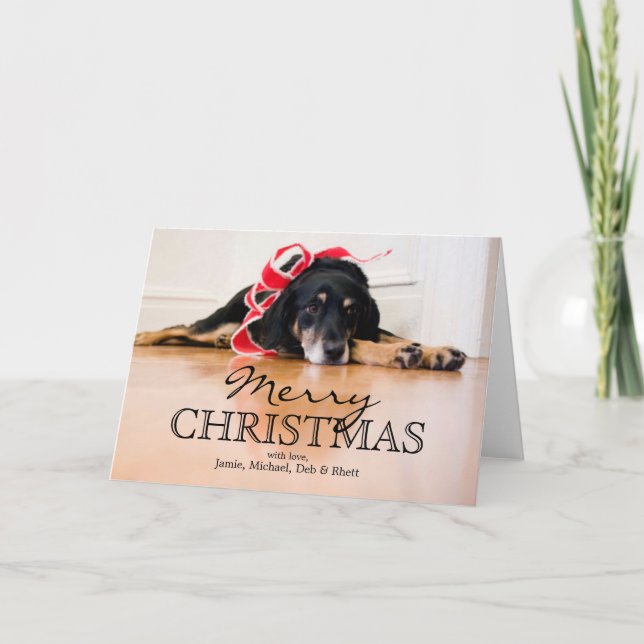 Cartes Pour Fêtes Annuelles Chien fatigué avec des rubans de Noël (Devant)