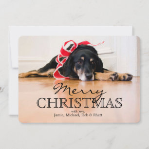 Cartes Pour Fêtes Annuelles Chien fatigué avec des rubans de Noël