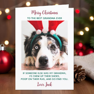 Cartes Pour Fêtes Annuelles Chien grand-mère Funny Personnalisé Animaux de com