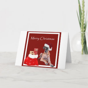 Cartes Pour Fêtes Annuelles Chien great dane de Noël