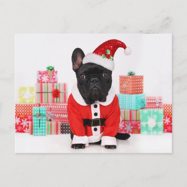 Cartes Pour Fêtes Annuelles chien habillé en Père Noël devant Noël (Devant)