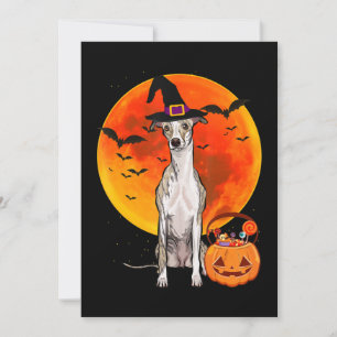 Cartes Pour Fêtes Annuelles Chien Halloween Whippet Jack-o'-lantern Citrouille
