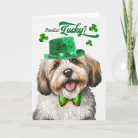 Chien Havanais Feelin' Lucky St Patrick's Day