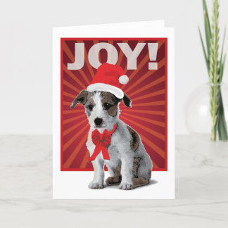 Cartes Pour Fêtes Annuelles Chien heureux de vacances - Jack Russell Père Noël