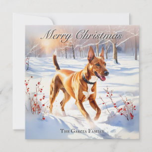 Cartes Pour Fêtes Annuelles Chien Hound Pharaon En Hiver Noël De Neige