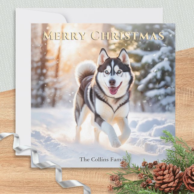 Cartes Pour Fêtes Annuelles Chien Husky en hiver Neige Joyeux Noël (An elegant Christmas card with picture of a Husky dog in the winter snow)