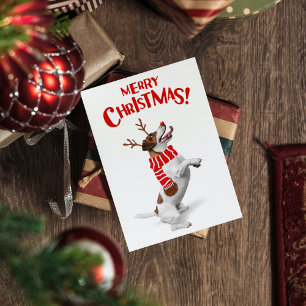 Cartes Pour Fêtes Annuelles Chien Jack Russel Terrier Bois de Cerf Nez Rouge N