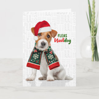 Cartes Pour Fêtes Annuelles Chien Jack Russell Drôle de puces Navidog Noël