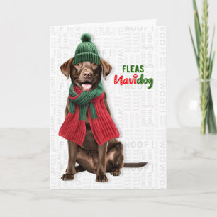 Cartes Pour Fêtes Annuelles Chien Lab au Chocolat Drôle de Puces Navidog Noël