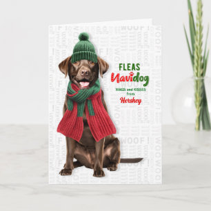 Cartes Pour Fêtes Annuelles Chien Lab au Chocolat Drôle Puces Navidog avec Nom