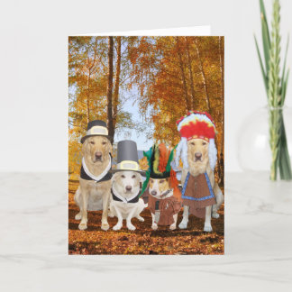 Cartes Pour Fêtes Annuelles Chien/laboratoire/pèlerins et Indiens drôles de