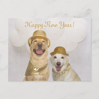 Cartes Pour Fêtes Annuelles Chien / Laboratoire sur mesure Bonne année