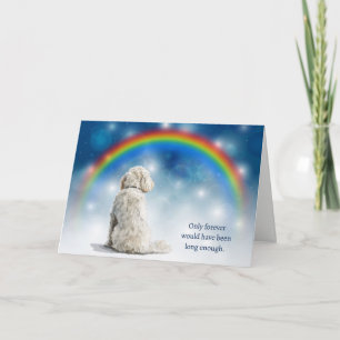 Cartes Pour Fêtes Annuelles Chien Labradoodle Blanc Veilleuses Sympathie