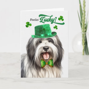 Cartes Pour Fêtes Annuelles Chien Lowchen se sent chanceux à la Saint-Patrick