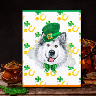 Cartes Pour Fêtes Annuelles Chien Malamute d'Alaska Trèfle St. Patrick