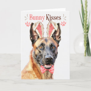 Cartes Pour Fêtes Annuelles Chien Malinois belge à Bunny Ears pour Pâques