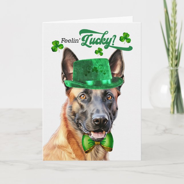 Cartes Pour Fêtes Annuelles Chien Malinois Belge Jour de Chance Saint Patrick (Devant)