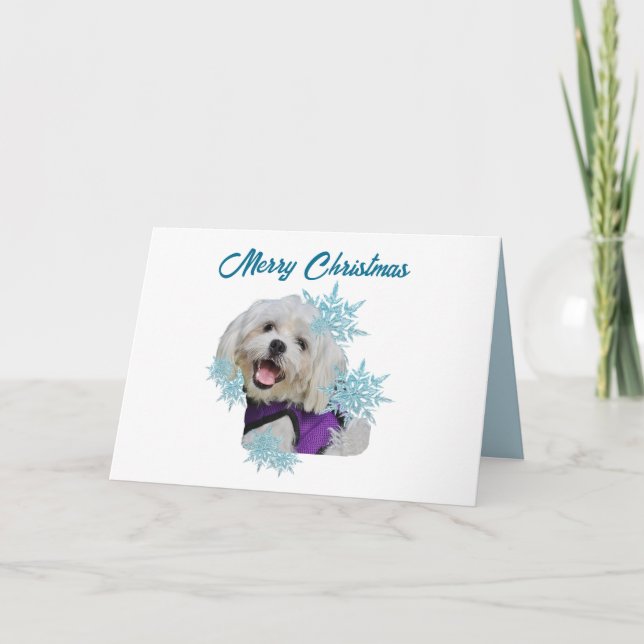 Cartes Pour Fêtes Annuelles Chien maltais avec harnais violet dans les flocons (Devant)