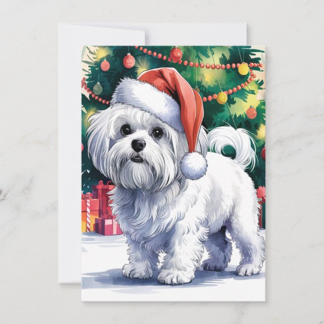 Cartes Pour Fêtes Annuelles Chien maltais blanc avec un chapeau de Père Noël (Devant)