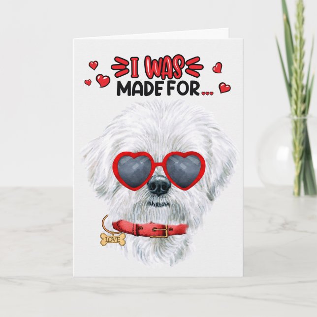 Cartes Pour Fêtes Annuelles Chien maltais fait pour vous aimer Valentine (Devant)