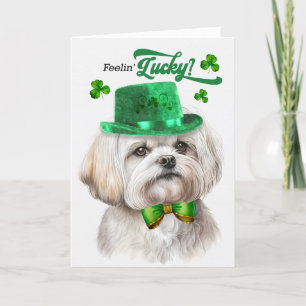 Cartes Pour Fêtes Annuelles Chien maltais Feelin' Lucky St Patrick's Day
