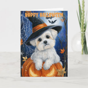 Cartes Pour Fêtes Annuelles Chien Maltais Halloween