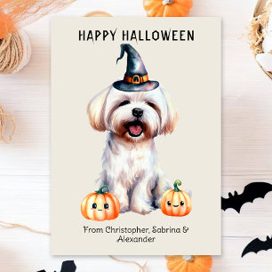 Cartes Pour Fêtes Annuelles Chien maltais heureux Halloween