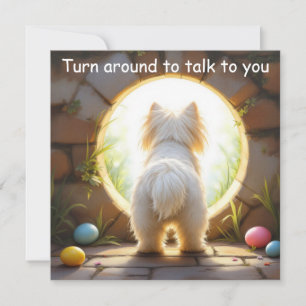 Cartes Pour Fêtes Annuelles Chien maltais - Pâques