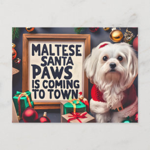 Cartes Pour Fêtes Annuelles Chien maltais Père Noël personnalisé Joyeux Noël