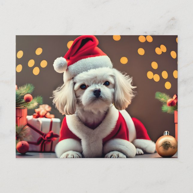 Cartes Pour Fêtes Annuelles Chien maltais Père Noël personnalisé Joyeux Noël (Devant)