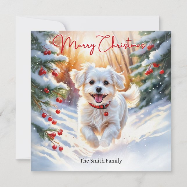Cartes Pour Fêtes Annuelles Chien Maltais Terrier En hiver Neige Joyeux Noël (Devant)