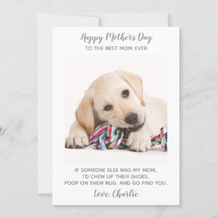 Cartes Pour Fêtes Annuelles Chien Maman Animaux Personalisés Photo Funny Mothe