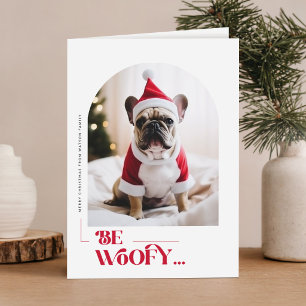 Cartes Pour Fêtes Annuelles Chien mignon chapeau de Père Noël Photo de chien N