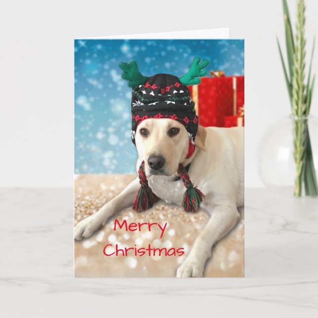 Cartes Pour Fêtes Annuelles Chien mignon de Labrador de Joyeux Noël avec le (Devant)