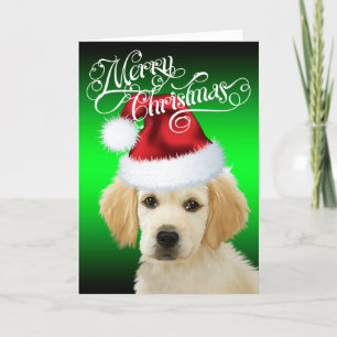 Cartes Pour Fêtes Annuelles CHIEN Noël   Adorable Chiot Père Noël Golden